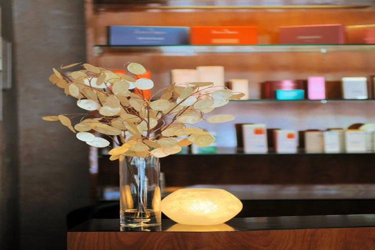 Spa, massage, facial and nails boutique in San Carlos, Ca. We use natural, organic products!