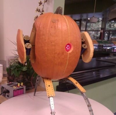 MMIX95355599's profile picture. 