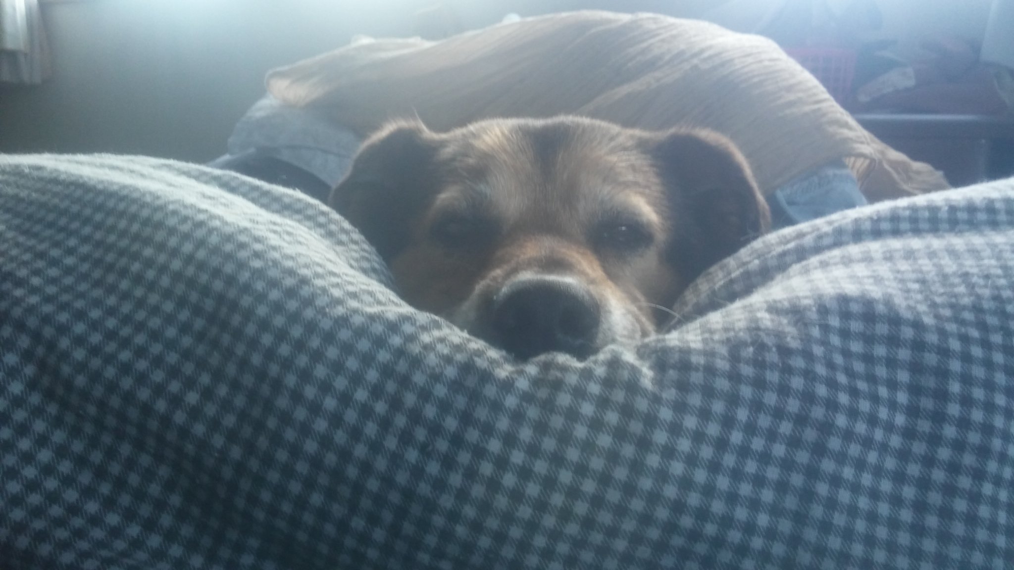 Project2000K's profile picture. 