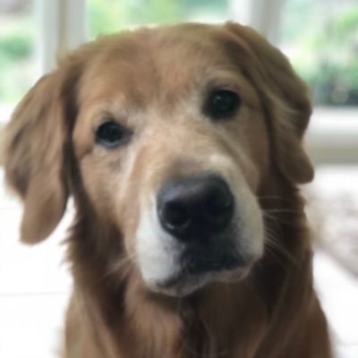 debdonahue5's profile picture. 