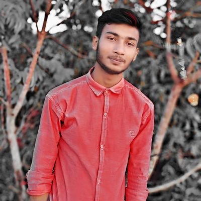 mdnisha12249580's profile picture. 