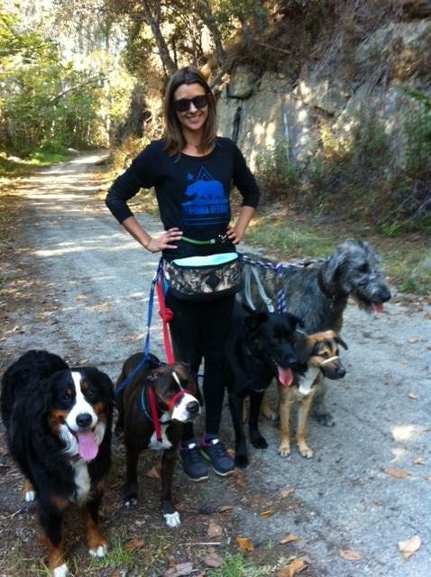 Dog Camp SLO is a dog hiking camp and daycare serving San Luis Obispo and the surrounding area! https://t.co/ueDPywBGCz