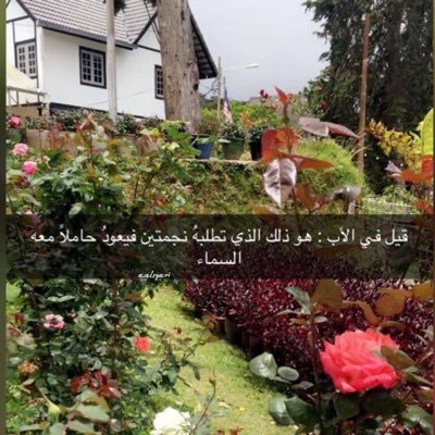 soos73's profile picture. الحمد لله في الامس واليوم وغداً #عبدالله_السياري رحمك الله ستبقى الدعاء في كل سجده