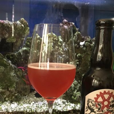 TG000's profile picture. Sales Manager, Beer and Wine