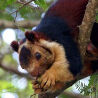 deponti (@deponti) 's Twitter Profile