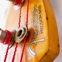 Precision Bass Porn (@pbassporn) 's Twitter Profile