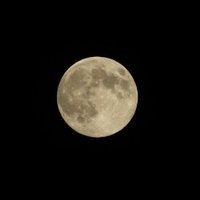 SugerWave (@sugerwave00) 's Twitter Profile Photo