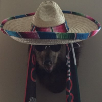 MikeWilxmadeit's profile picture. https://t.co/cGqO0lES1p