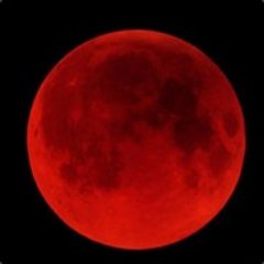 0xk0r4y's profile picture. 👻