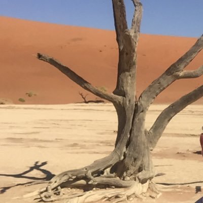 Namib-naturist in 🇮🇪