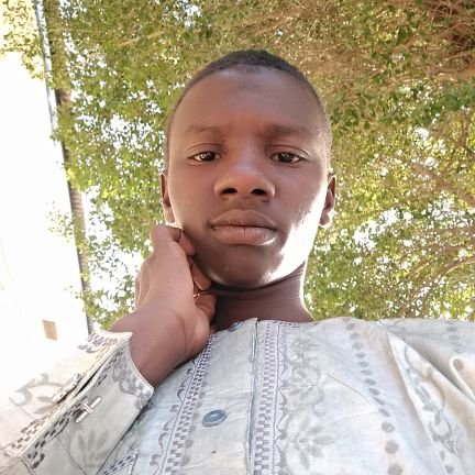 mzarami18's profile picture. 