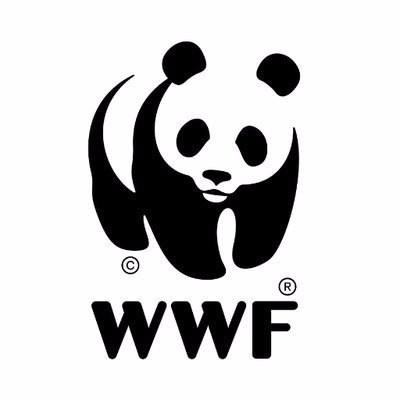 🐼 Grupo Local de voluntarios de WWF. 🌳 Comprometidos en el cuidado de la #naturaleza. Trabajando por un #PlanetaVivo. Si te interesa unirte, sigue el link👇🏻