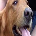 Jordan Minter - @MyDawgJake - Twitter