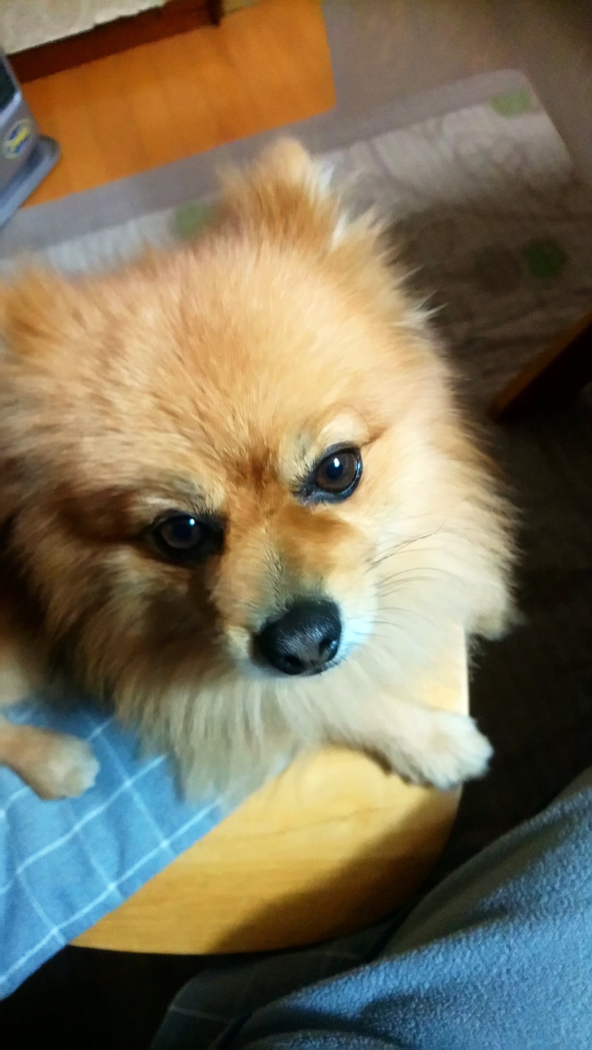 UuDU1ZLMkVtCI1X's profile picture. 64才犬を飼っています