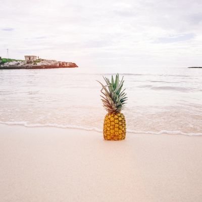 wanderlust9911's profile picture. 