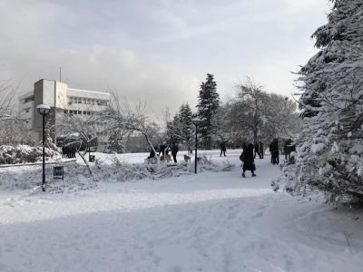 Her sabah parlak işler tasarlar, gün boyu budalalık eder.