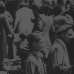 'The Nazi Concentration Camps: A Teaching and Learning Resource', a website developed and written by Professor Nikolaus Wachsmann.