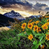 Glacier Photographer (@outsidemontana) 's Twitter Profile