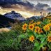 Glacier Photographer (@outsidemontana) Twitter profile photo Glacier Photographer (@outsidemontana) Twitter profile photo