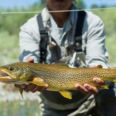 Your source for photographs from across Montana - the Big Sky Country!