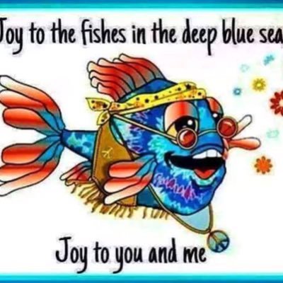 graciest1's profile picture. 