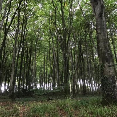 Welcome to Forest Marble, your local 24/7 property sales & lettings experts.