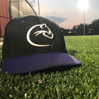 Chatham Baseball (@chat_baseball) 's Twitter Profile