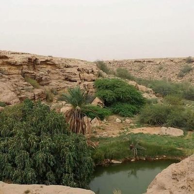 Wiw88's profile picture. 