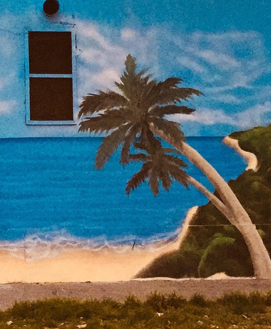 Crisdzflores's profile picture. Periodista revista Trauko