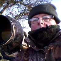 Phil Cull(@CullyBirder) 's Twitter Profile Photo