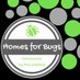 Homes for Bugs (@homesforbugs) Twitter profile photo