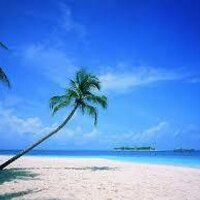 Travel India (@_travelindia) 's Twitter Profile