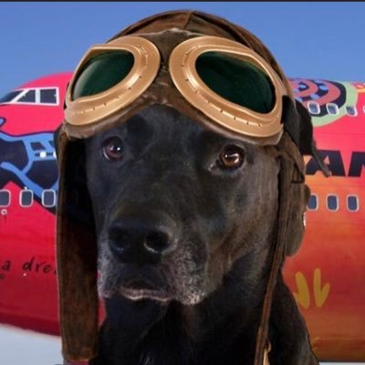 Proud member of #TheAviators #AlfiesLaw #NipClub Creator of #TheGlassShot © https://t.co/9beGJwe8l1 Lizzie Buttrose #StingraySurvivor #LivingLizziesLife