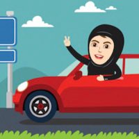 Driving lessons (@drivinglesson15) 's Twitter Profile