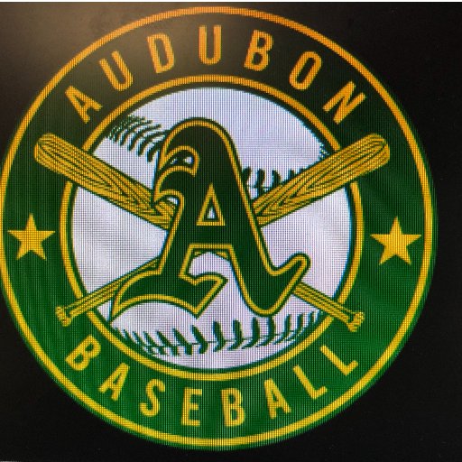 AudubonBaseball Profile