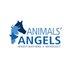 Animals Angels (@AnimalsAngelsUS) Twitter profile photo