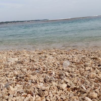 D2Didin's profile picture. 