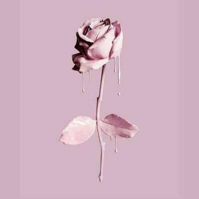 ColourcodeN's profile picture. ☻