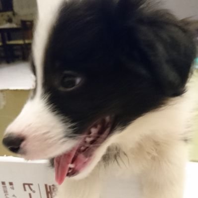 terje720's profile picture. 