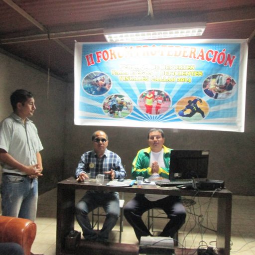 Presidente Federación Deportiva Peruana de Personas con Discapacidad Visual (FEDEPEDIV)
Especialista en Deportes para Personas Ciegas y Paralímpico