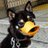 komame1218shiba