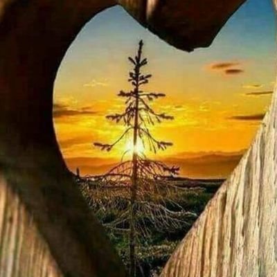 DpeMaria's profile picture. Analítica, práctica, cuestionadora, viajera, investigadora, visionaria, estratega interesada en contribuir para la mejora social