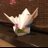 はうはうのアイコン