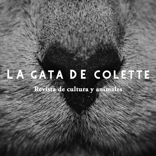 Revista dedicada a difundir la cultura y el mundo de los animales.
Fomentamos los valores del respeto animal a través de todas las expresiones artísticas