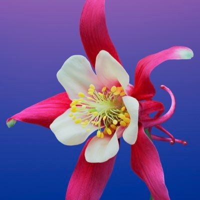 ApPsychologist's profile picture. 