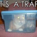 Bryn Cooper - @Cowonhill - Twitter