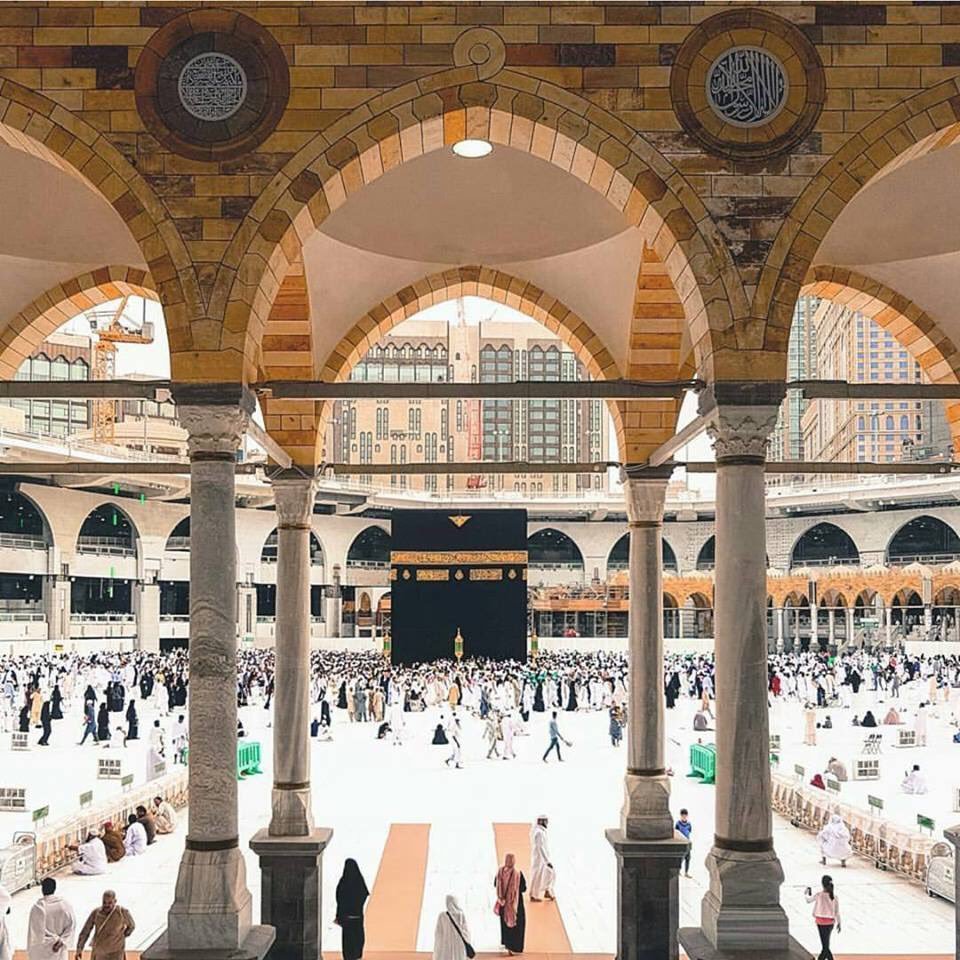 ShoaibM13321233's profile picture. Hakuna Matata...