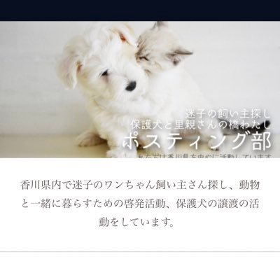 ポスティング部 香川県 Posting 1122 Twitter