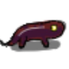 suishinさんのプロフィール画像