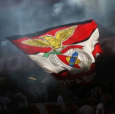 golodobenfica's profile picture. A marcar desde 1904! ||| Segue e sigo!